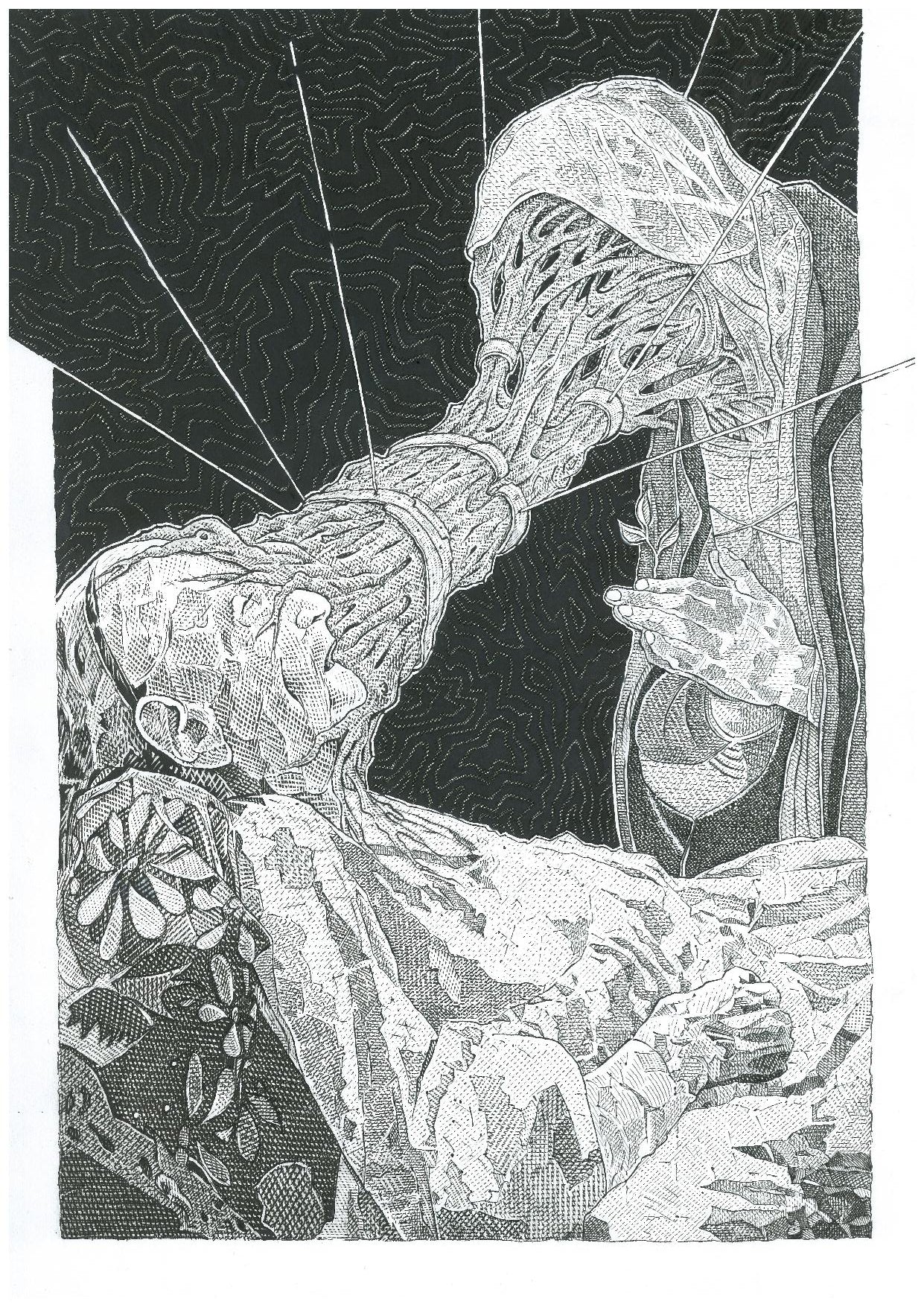 Released - black and white
